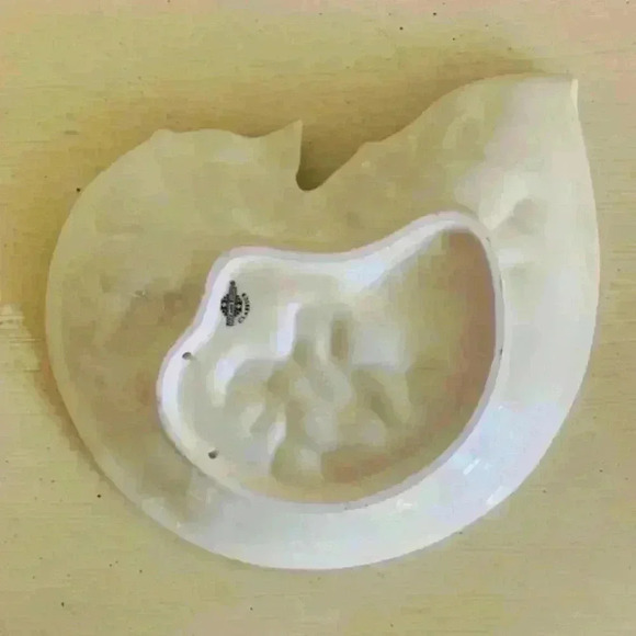 Fitz and Floyd Oceana Nautilus Shell coral serving plate tray dish hangi… - Picture 3 of 4